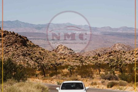 Budget-Friendly Taxi Packages from Mangalore - New Mangalore Cabs